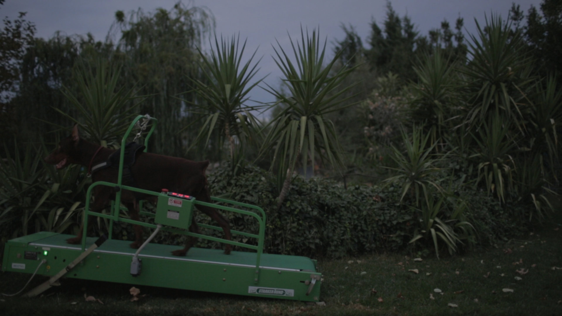 stills.004