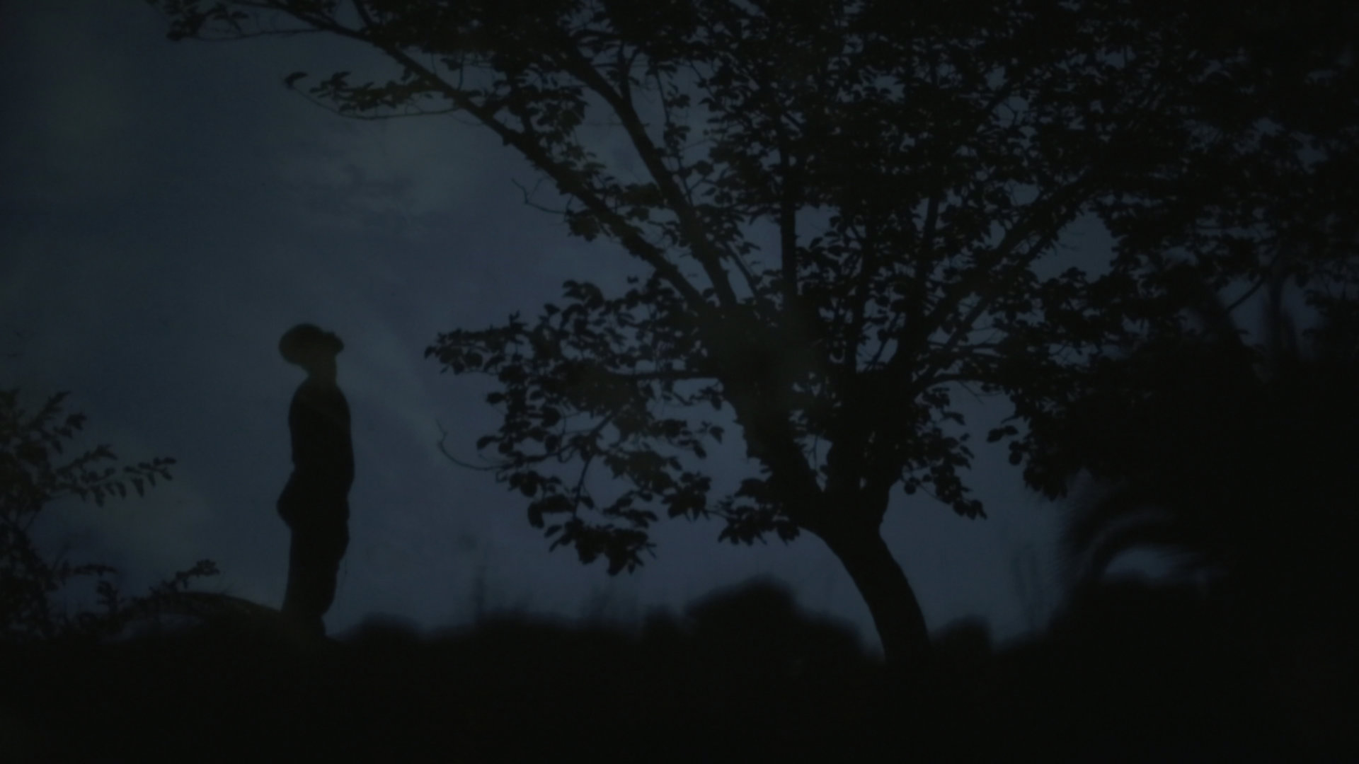 stills.005